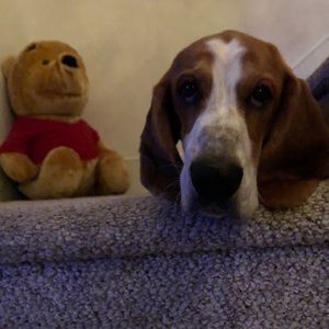 Meet your Posher, Beth